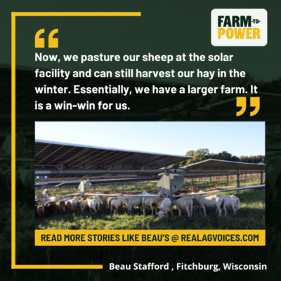 Beau WI Quote from Beau Stafford: Now, we pasturize our sheep at the solar facility and can still harvest our hay in the winter. Essentially, we have a larger farm. It is a win-win for us. The image shows sheep grazing beneath rows of solar panels.